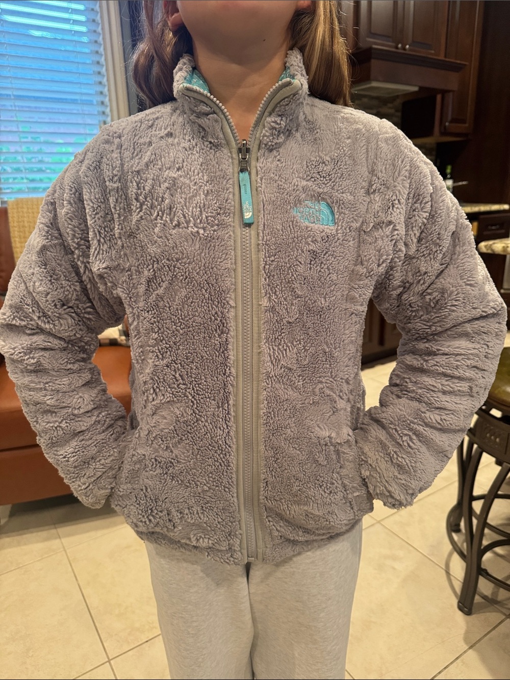 The North Face Kids Gray Plush Fleece Jacket with Aqua Logo